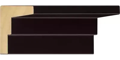 10.8784/17