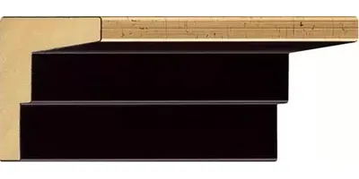 10.8784/5556