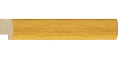 20.1340/2517