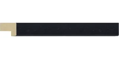 20.1642/17